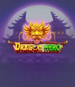 Enter a fantastic quest with the Dragon Hero game by Pragmatic Play, highlighting stunning visuals of powerful dragons and heroic battles. Venture into a realm where fantasy meets excitement, with featuring enchanted weapons, mystical creatures, and treasures for a thrilling adventure.